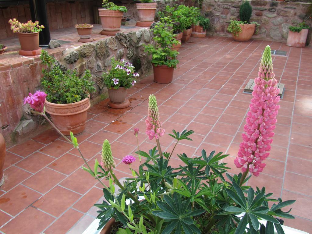 Ezcaray Turza Casa Rural Completa Hasta 8Pax מראה חיצוני תמונה